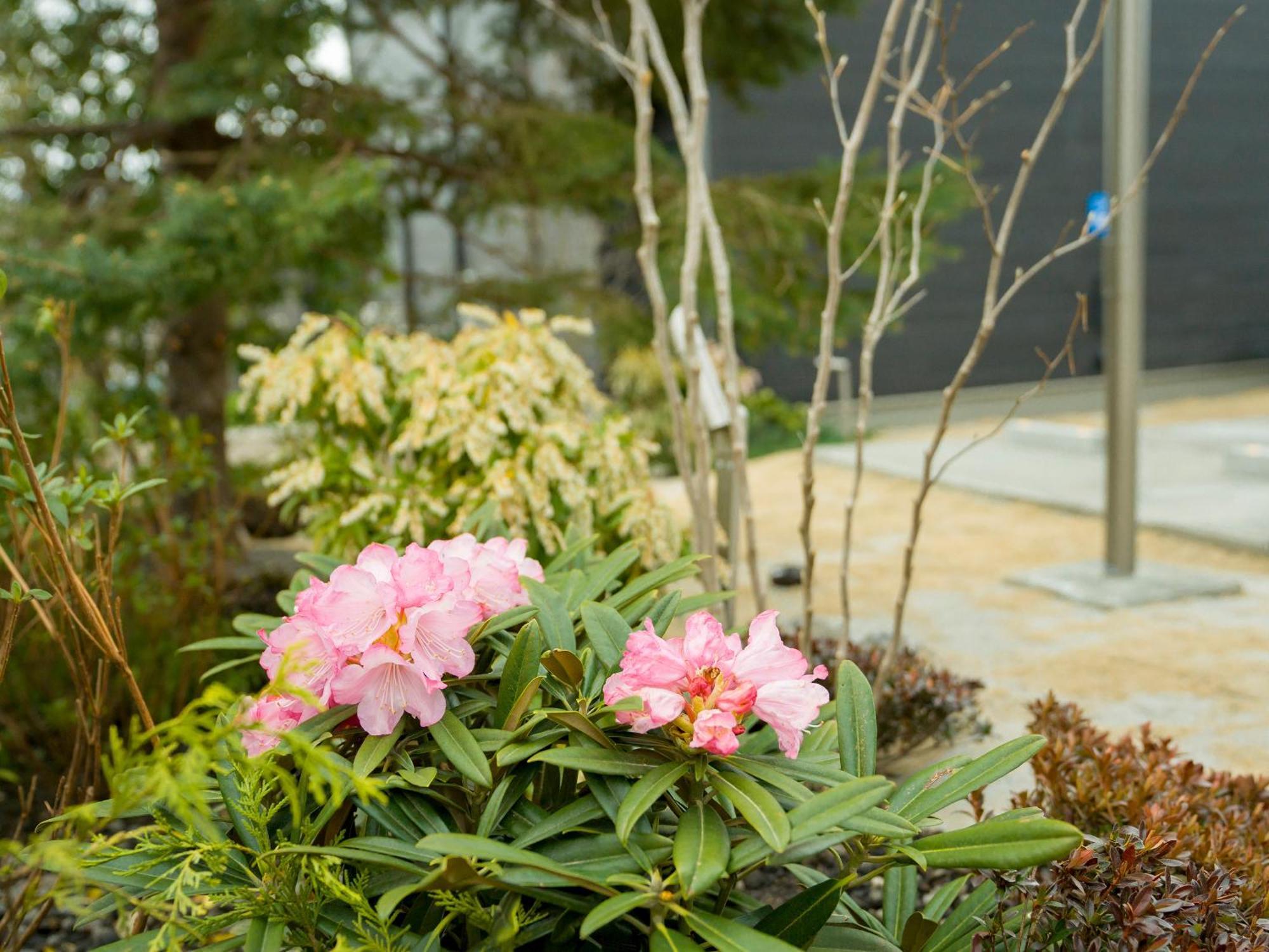 Rakuten Stay Villa Yatsugatake Hokuto  Extérieur photo
