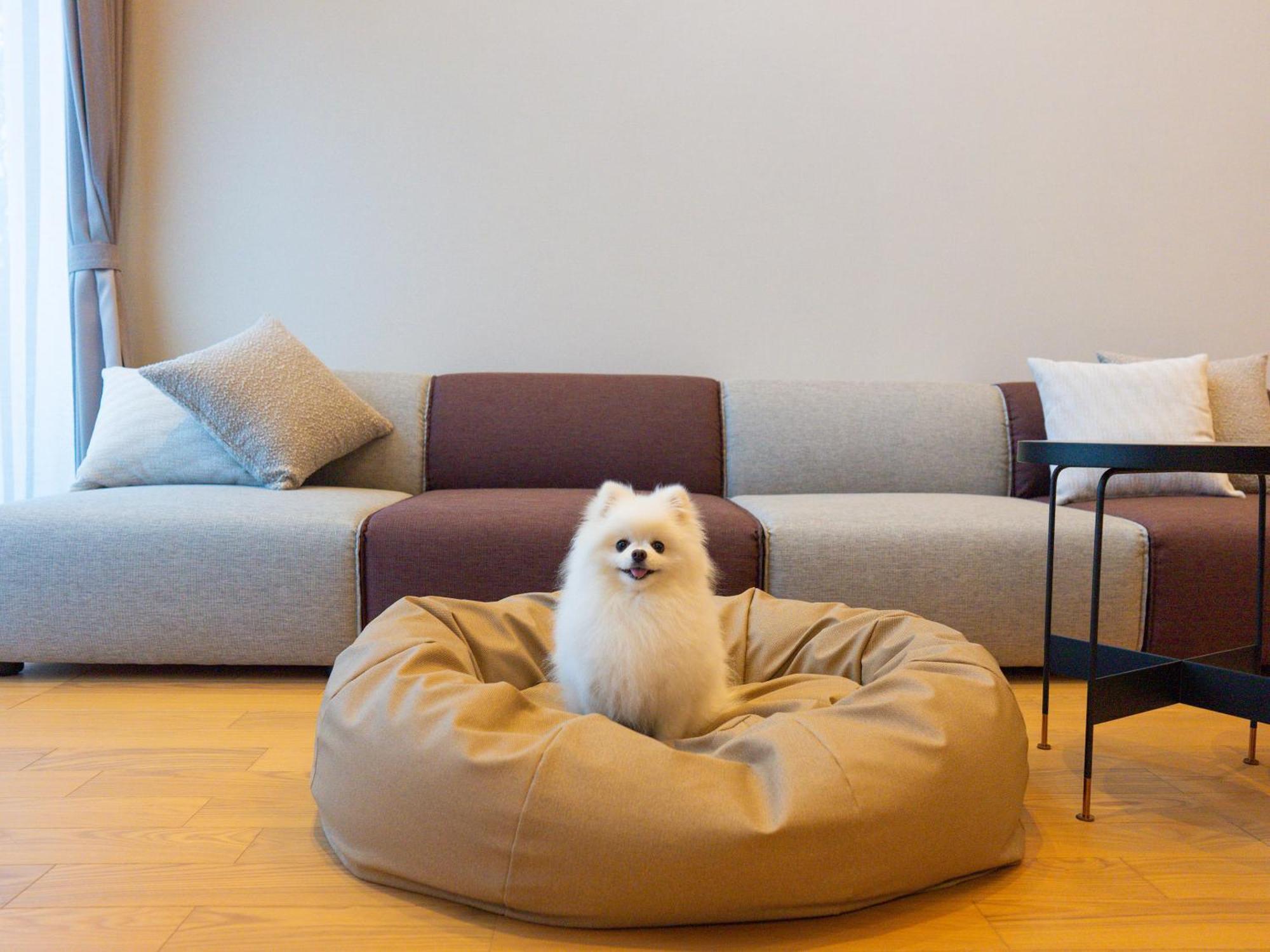 Rakuten Stay Villa Yatsugatake Hokuto  Extérieur photo