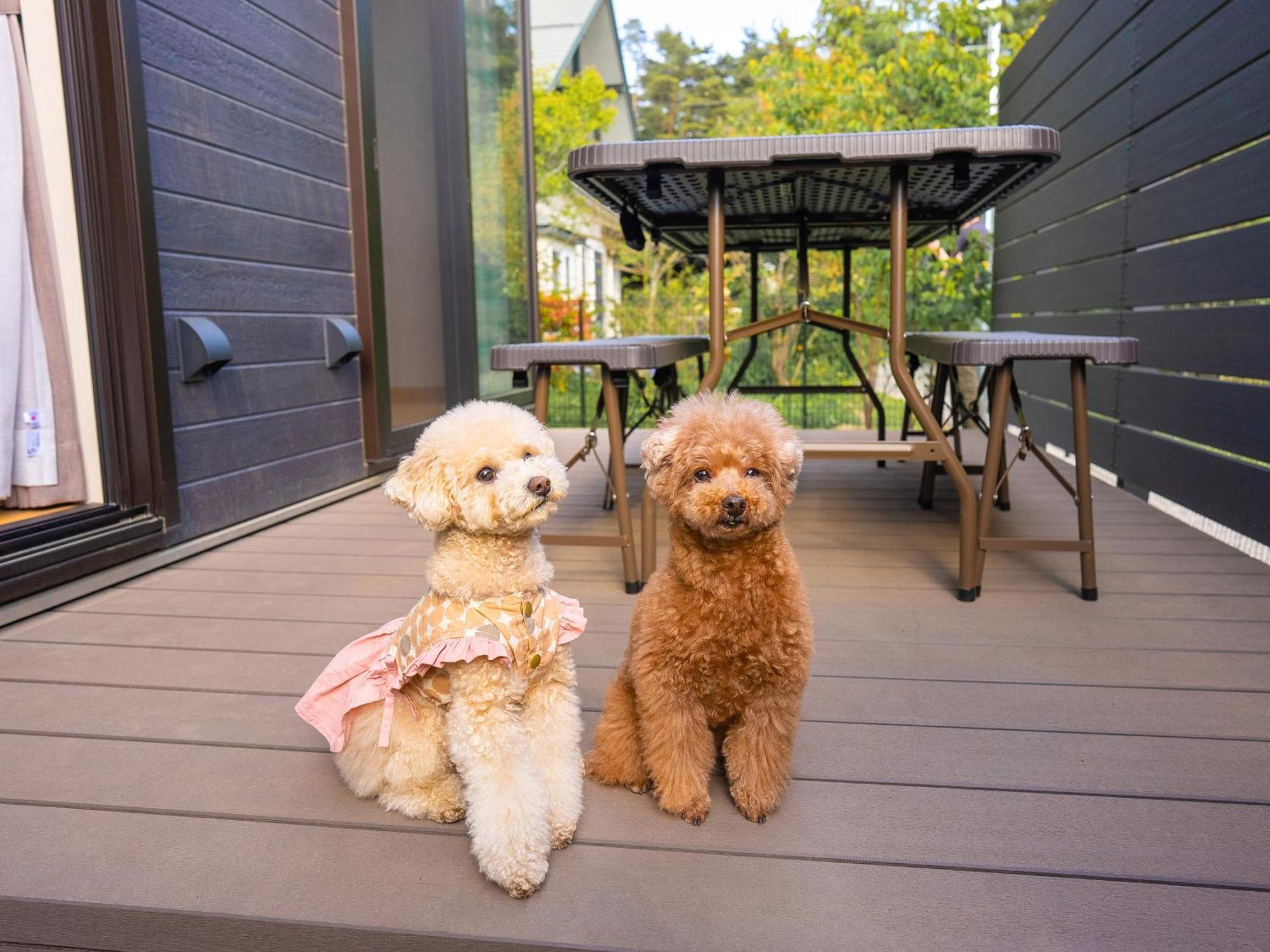 Rakuten Stay Villa Yatsugatake Hokuto  Extérieur photo
