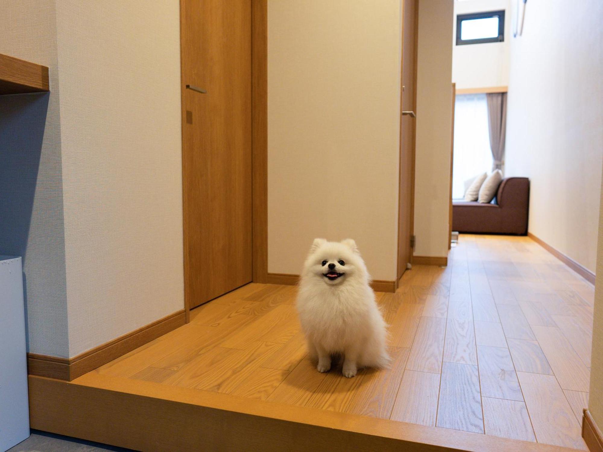 Rakuten Stay Villa Yatsugatake Hokuto  Extérieur photo
