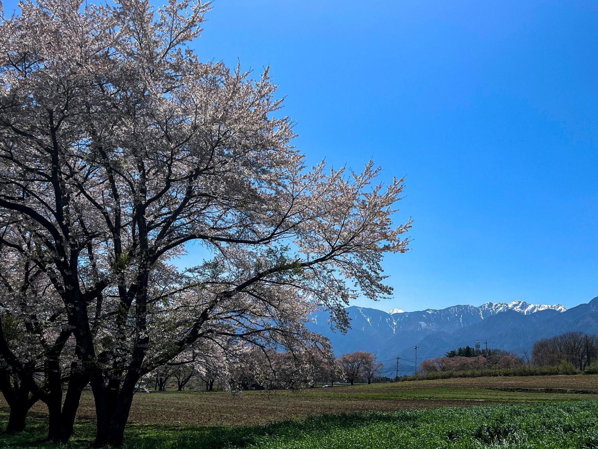 Rakuten Stay Villa Yatsugatake Hokuto  Extérieur photo